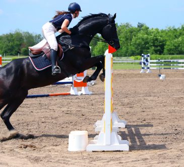 Een goede ruitersport zoeken?